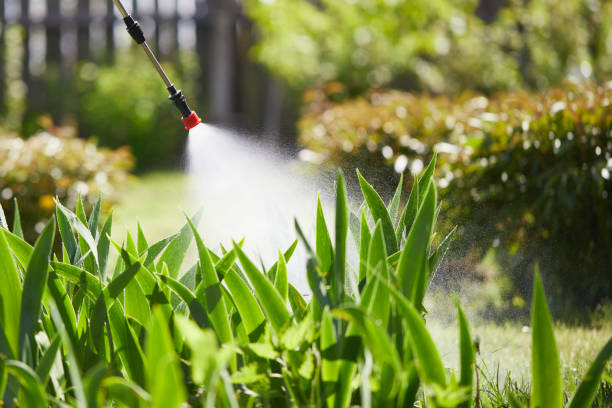 Tamper-Resistant Bait Stations for Rodents in Thomasville