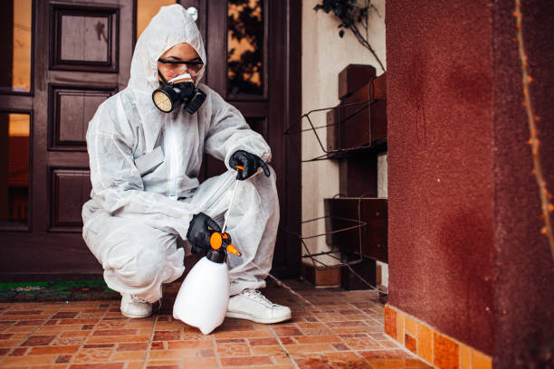Attic and Crawl Space Rodent Treatment in Thomasville