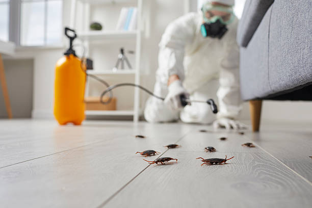Commercial Rodent Management in Thomasville